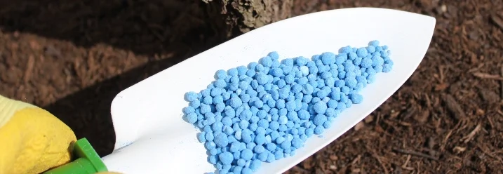 Hand hält Schaufel mit Dünger